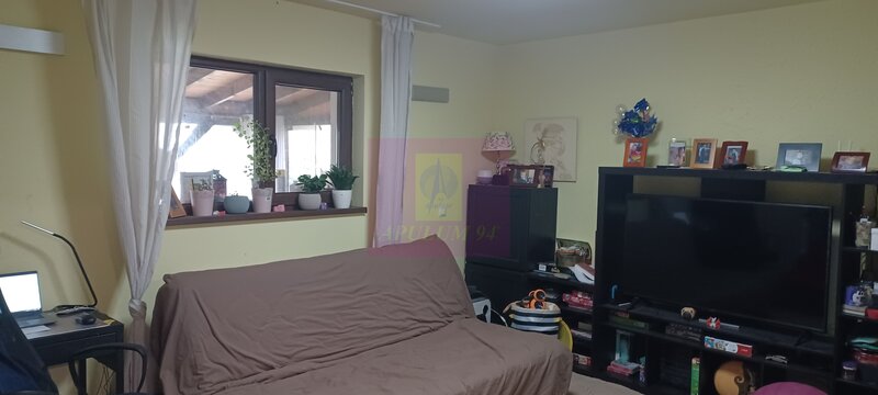 Sabareni, casa 2011, P+M 4 camere + dependinte, curte 500 mp